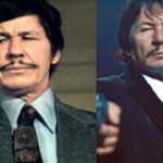 Charles Bronson Net Worth: How Much Was the Actor Worth?