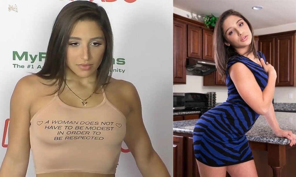 Abella Danger Plan and Goals